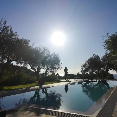 Vericoco Spartia (Kefalonia)